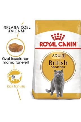British Shorthair Adult Kedi Kuru Maması 2 Kg